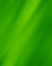 Green And Fresh Background
