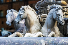 Horses Of Neptune Fountain In Florence