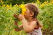© Vitalinka - Child and sunflower