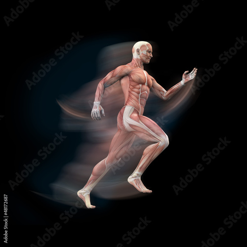 Plakat na papierze fotorealistycznym Człowiek, sprinter anatomia mięśnie 3d