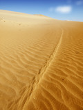Fototapeta  - sand desert landscape