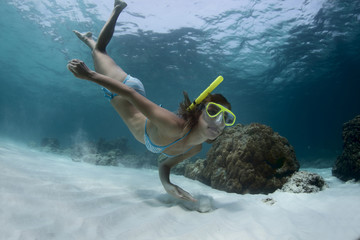 Wall Mural - Snorkeling