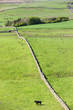 Hadrian's wall, Northumberland, England