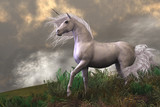 Fototapeta Konie - White Unicorn Stallion