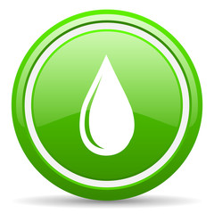 Poster - water drop green glossy icon on white background