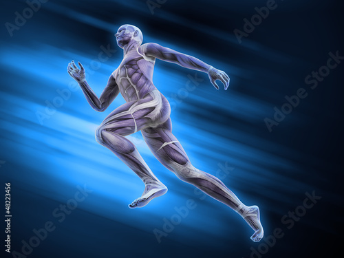 Plakat na papierze fotorealistycznym Anatomia sportowa - biegacz