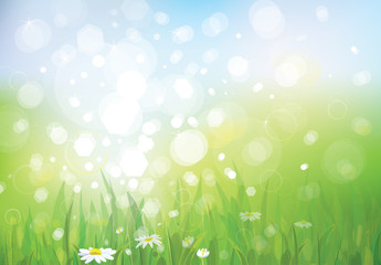 Wall Mural - vector of spring background, sky and grass.