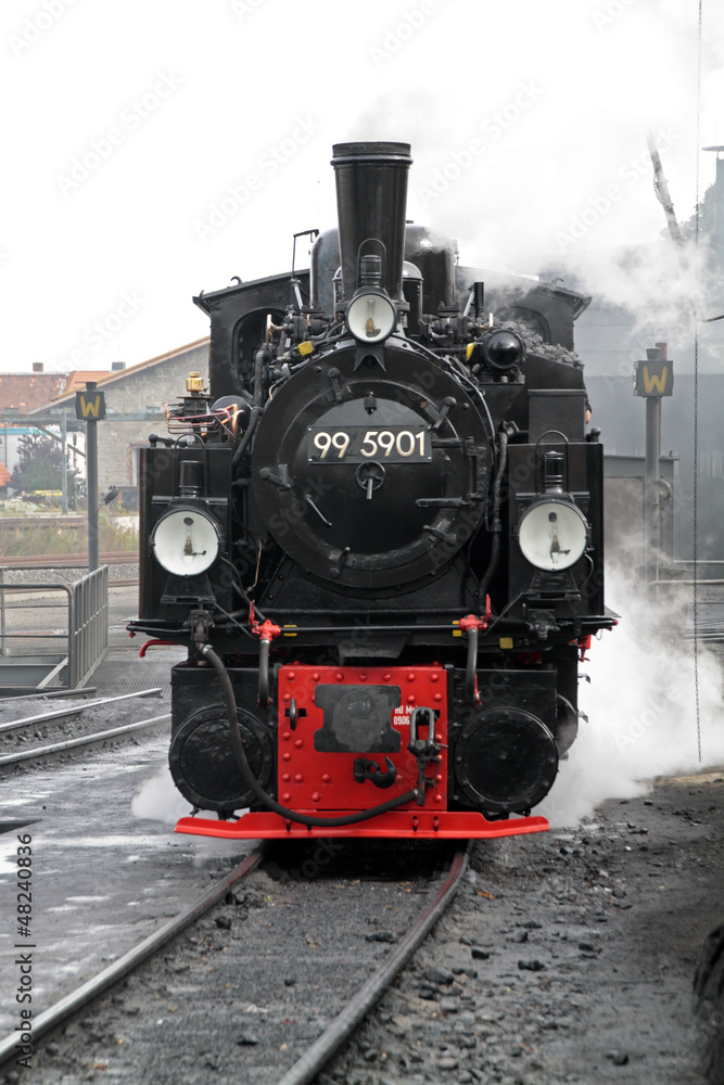 Dampflokomotive der Harzer Schmalspurbahnen - obrazy, fototapety, plakaty 