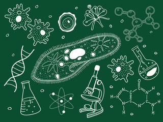 biology sketches on school board.