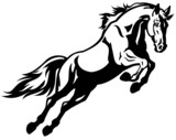 Fototapeta Konie - jumping horse black white