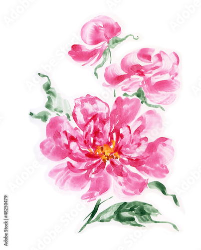 Fototapeta na wymiar Watercolor painting pink peonies