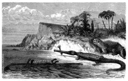Naklejka samoprzylepna Prehistoria: jaszczury - oolyckie