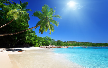Wall Mural - anse lazio beach at praslin island, seychelles