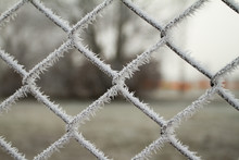 Wire Fence With Hoarfrost