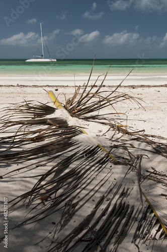 Plakat na papierze fotorealistycznym Katamaran i liść palmowy w cayo blanco na Kubie