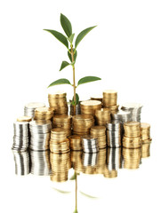 Sticker - plant growing out of gold and silver  coins isolated