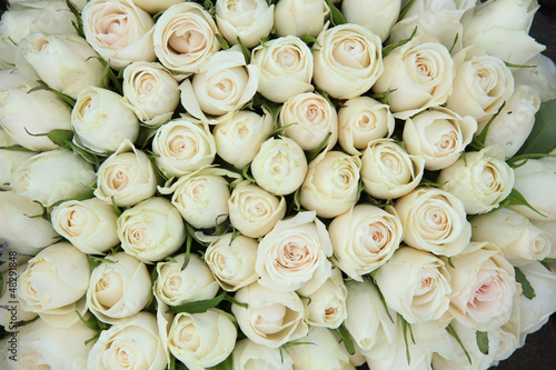 Fototapeta na wymiar Group of white roses, wedding decorations