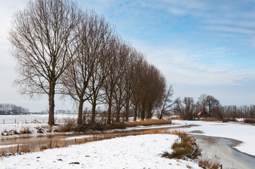 Wall Mural - Rural winter landscape in the Netherlands