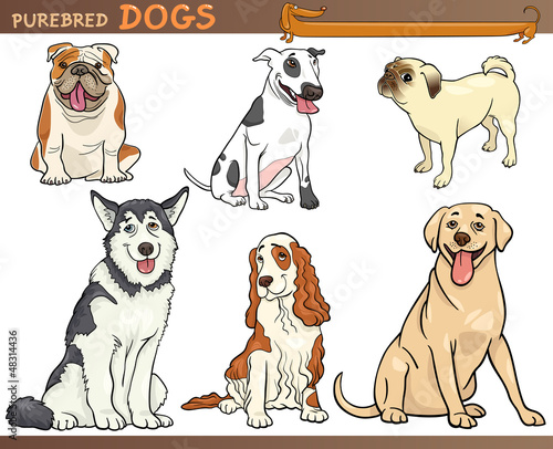 Naklejka dekoracyjna purebred dogs cartoon illustration set