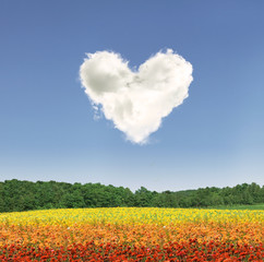 Heart cloud over colorful flowers