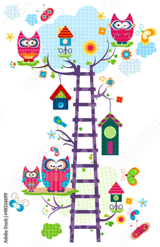 Obraz w ramie owl`s tree