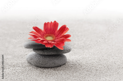 piasek-i-gerbera-zen