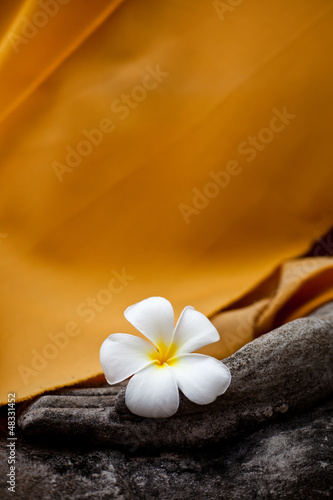 Naklejka - mata magnetyczna na lodówkę Loto. Statue de bouddha