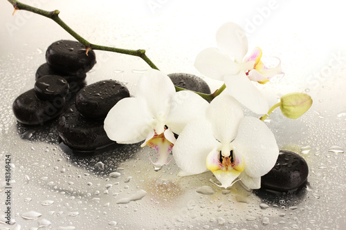 Fototapeta do kuchni Spa stones and orchid flowers, isolated on white.