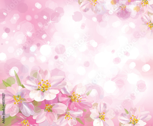 Zdjęcie XXL Wektor kwitnie wiosna drzewo z różowym tłem
