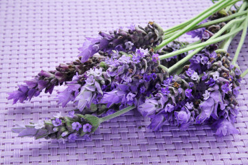 Sticker - lavender flowers