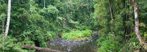 Naklejka samoprzylepna Henrietta creek, near innisfail, north queensland