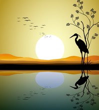 Heron Silhouette On Lake