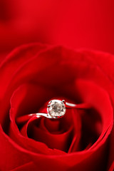 Sticker - rose with ring