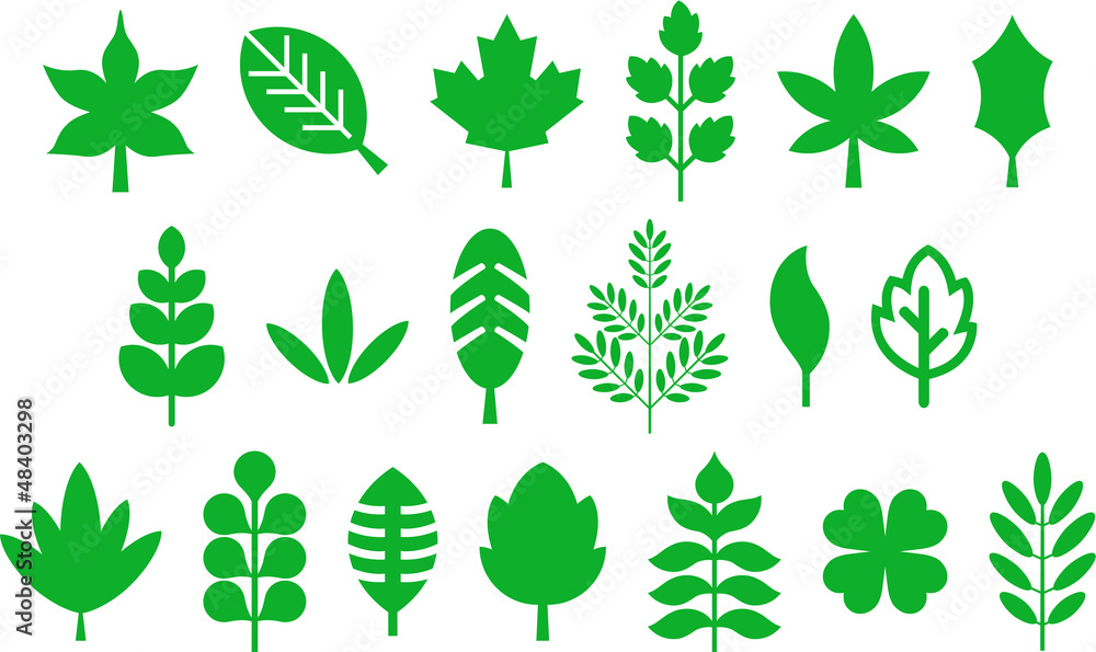 Set of vectorized leafs - obrazy, fototapety, plakaty 