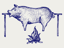 Roasted Pig. Doodle Style