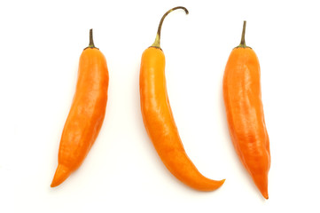 Canvas Print - Aji amarillo