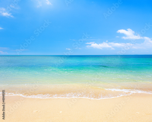 Naklejka na szybę beach and tropical sea