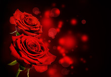 Red Roses Valentine Background