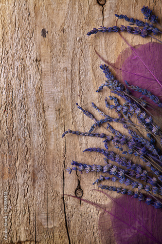 Naklejka dekoracyjna lavender border