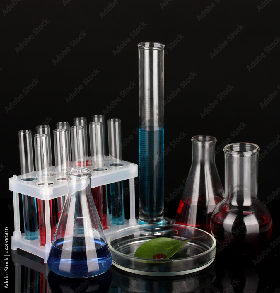 Test-tubes and green leaf tested in petri dish, isolated