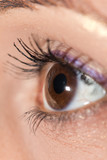 Fototapeta  - Macro image of human eye