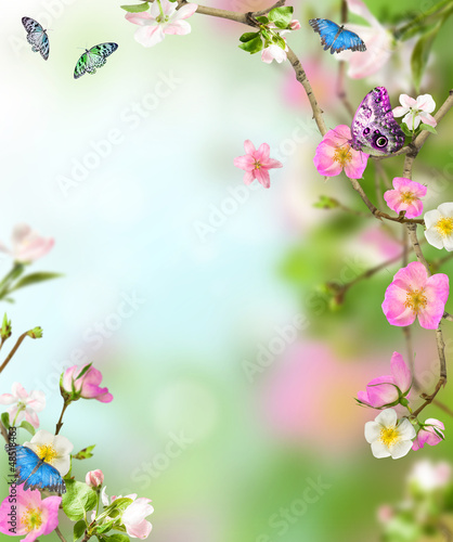 kwiatowe-wiosenne-kolorowe-tlo-z-motylami