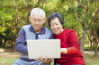 © Tom Wang - happy asian  Senior couple with laptop