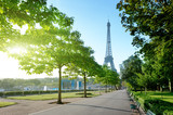 Fototapeta Boho - sunny morning and Eiffel Tower, Paris, France