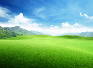 Canvas Print - field of grass in mountain
