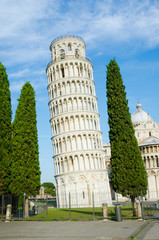 Wall Mural - Famous leaning tower of Pisa during summer day