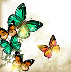 Fototapete - Fashion background with butterflies