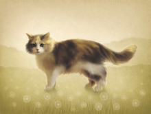 Illustration Of A Cat. Digital Art