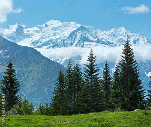 Naklejka na drzwi Mont Blanc mountain massif (view from Plaine Joux outskirts)