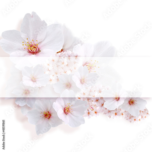 Naklejka - mata magnetyczna na lodówkę Kwiat wiśni 